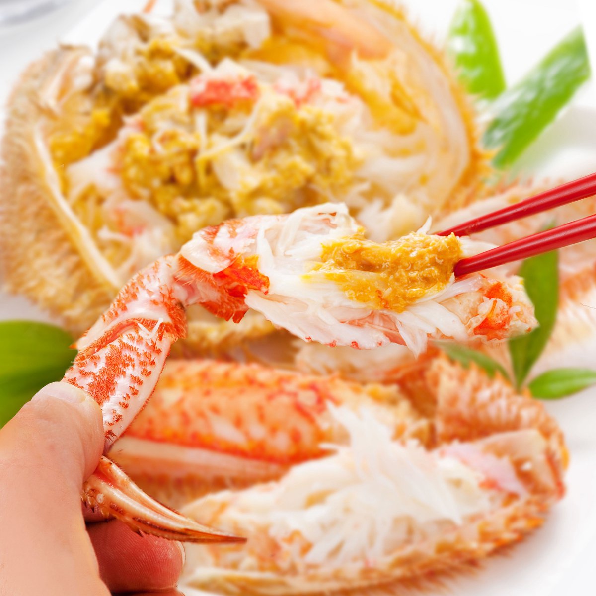 Rebunese's tweet photo. 🌟今が旬のご紹介🌟
 おいしい毛ガニ🦀探してます？？ 

当店の流氷明け毛ガニは
1年の中で身が栄養満点で 
パンパンになった状態 ☝️
そしてクリーミーかつクセない
カニ味噌･･･
こんな毛ガニ🦀を味わえるのは
 今だけです！

 北海道産 浜茹で 未冷凍 チルド毛ガニ 
 https://t.co/kHMpJ41q7J https://t.co/8mQp3pmX5G