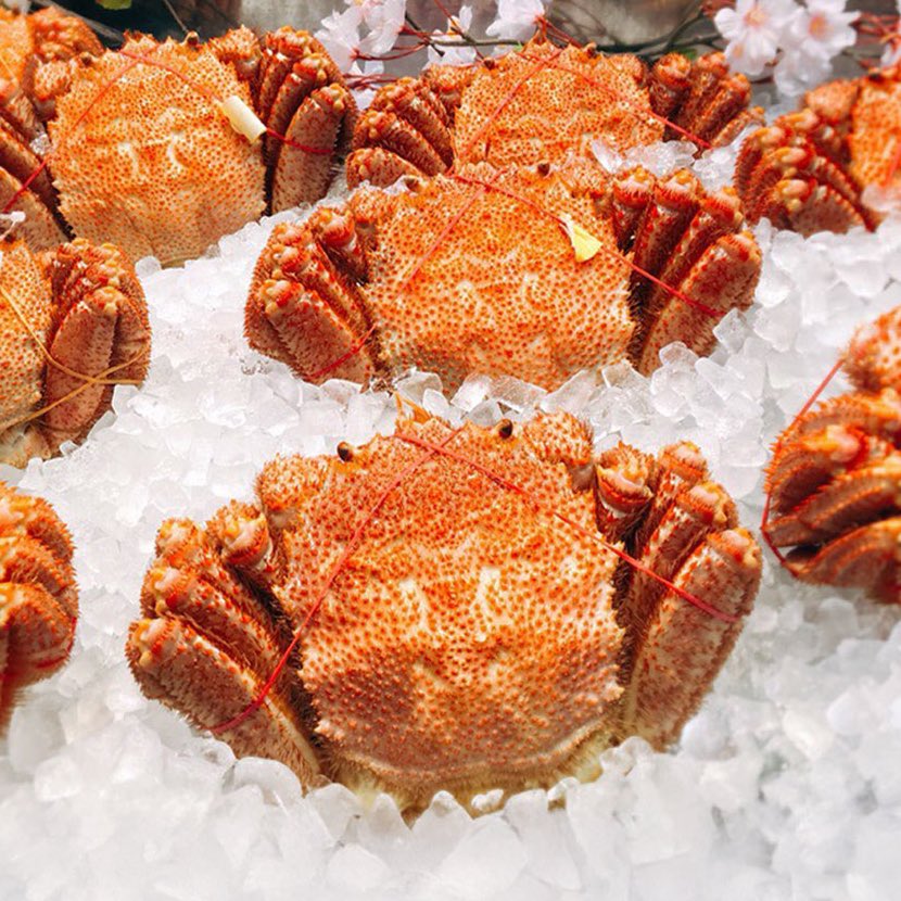 Rebunese's tweet photo. 🌟今が旬のご紹介🌟
 おいしい毛ガニ🦀探してます？？ 

当店の流氷明け毛ガニは
1年の中で身が栄養満点で 
パンパンになった状態 ☝️
そしてクリーミーかつクセない
カニ味噌･･･
こんな毛ガニ🦀を味わえるのは
 今だけです！

 北海道産 浜茹で 未冷凍 チルド毛ガニ 
 https://t.co/kHMpJ41q7J https://t.co/8mQp3pmX5G