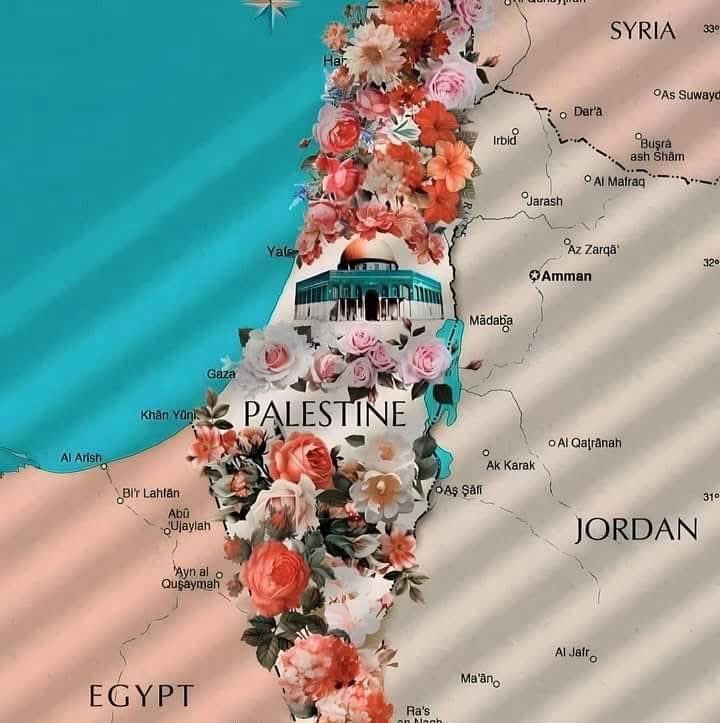 Dr. Yousef 🇵🇸 tweet media