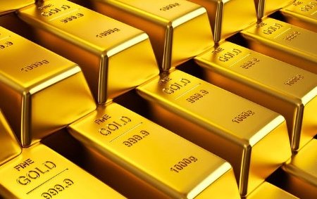 predkang edge🦭 tweet media