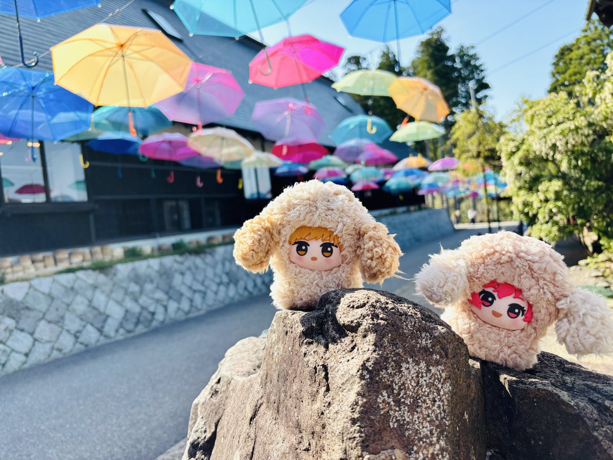 なるみん tweet media