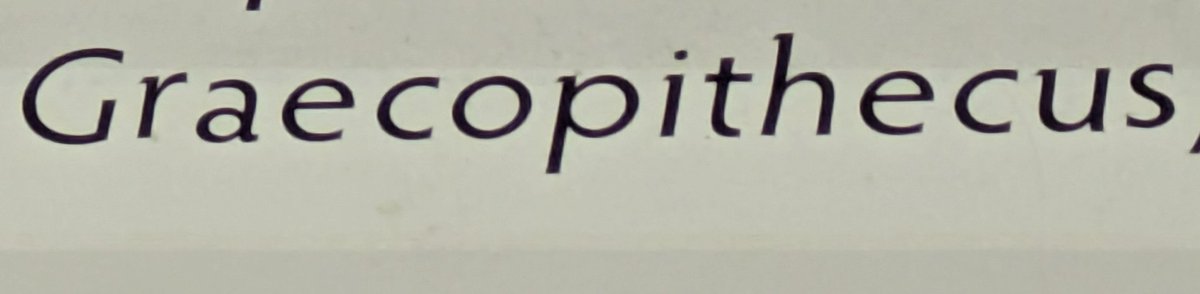 Rosa Mariño tweet media