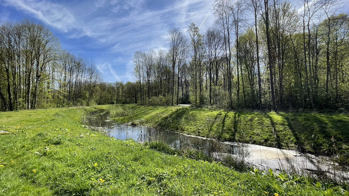 IngeDolfijntje's tweet photo. Harelbeke 12.13.u

#vrtweer 
@BuienradarBE 
@NoodweerBenelux 
@MijnNatuurpunt https://t.co/NpOOViBf0X