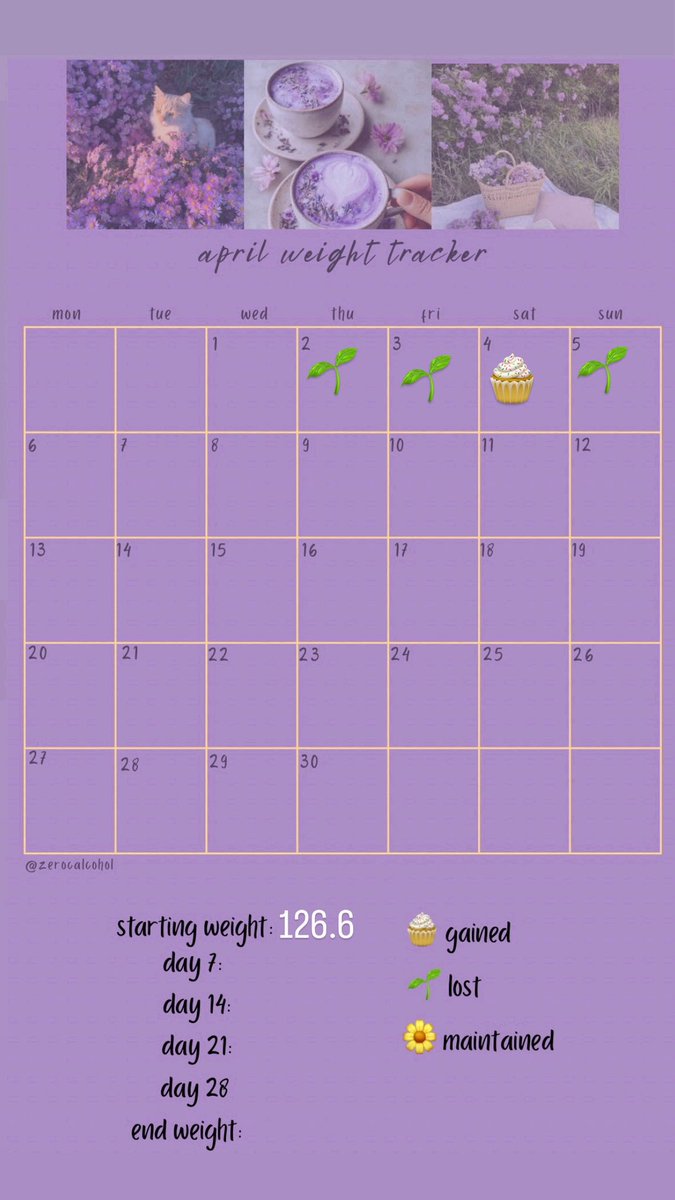 maggie ♛ tweet media