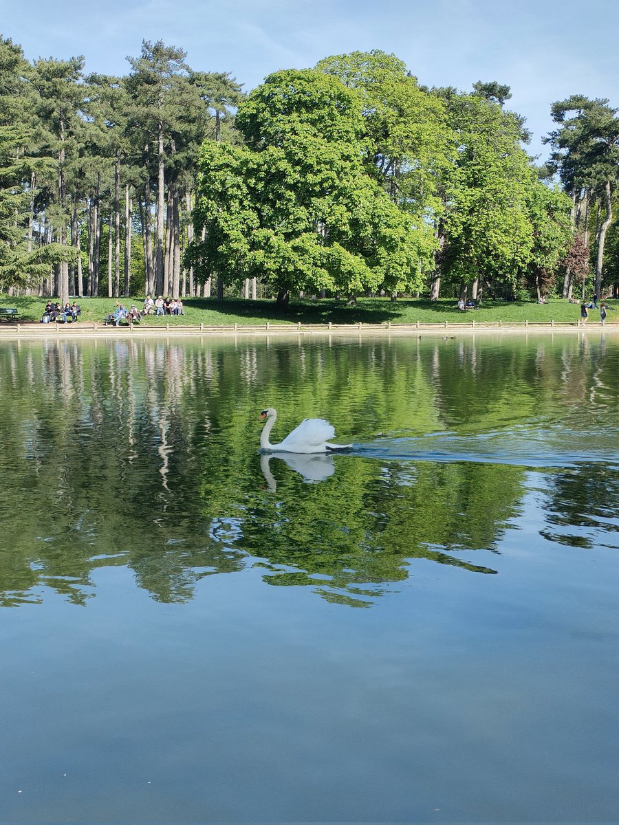 ✨ Val_Paillettes ✨ tweet media