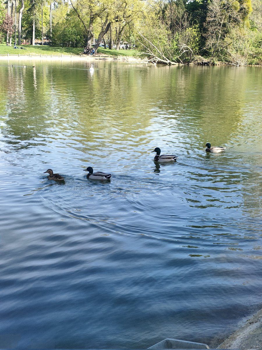 ✨ Val_Paillettes ✨ tweet media