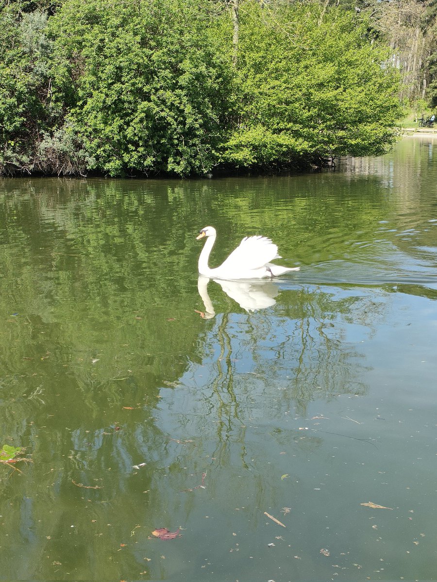 ✨ Val_Paillettes ✨ tweet media