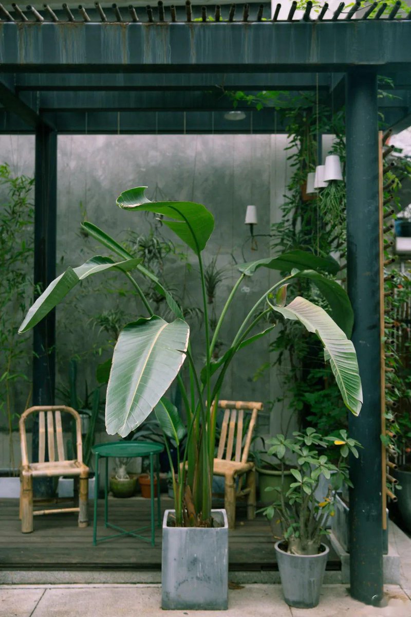 Marutha Valavan tweet media