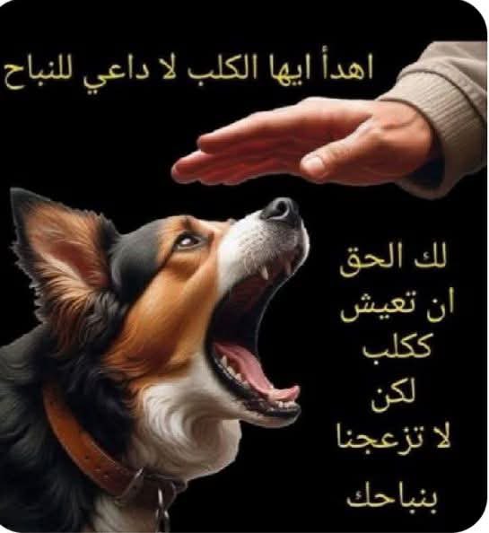 Mr 777777 tweet media