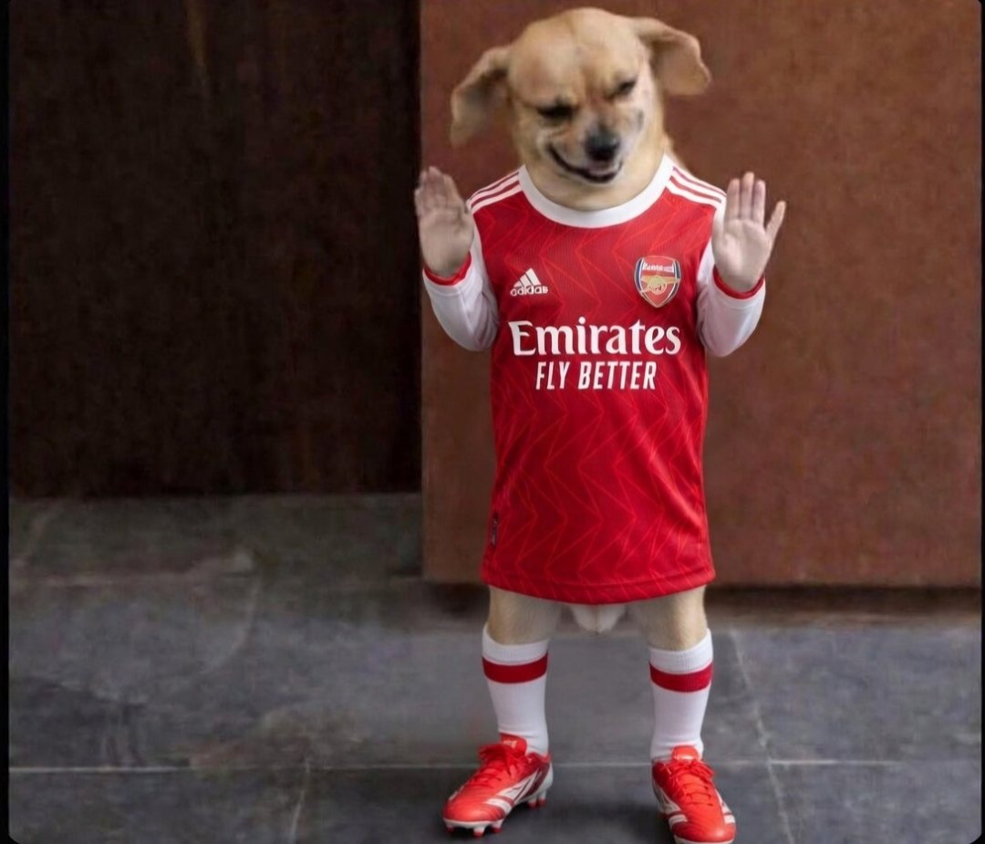 S.SIMON. tweet media