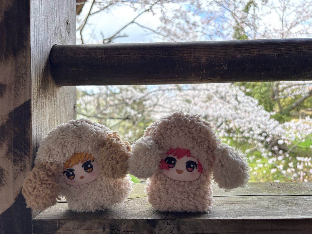 なるみん tweet media