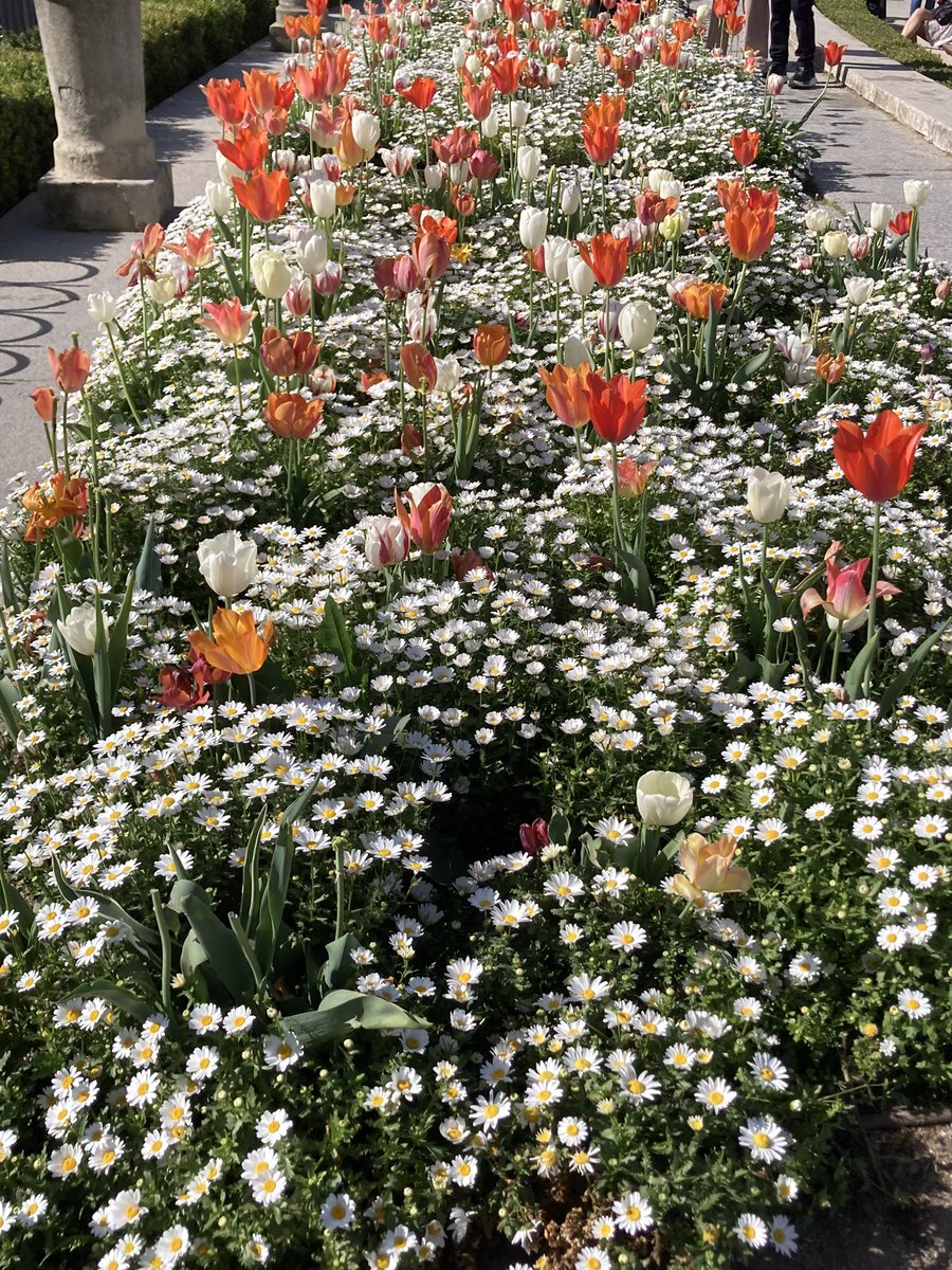 𝖁𝖆𝖒𝖕𝖎𝖗 tweet media