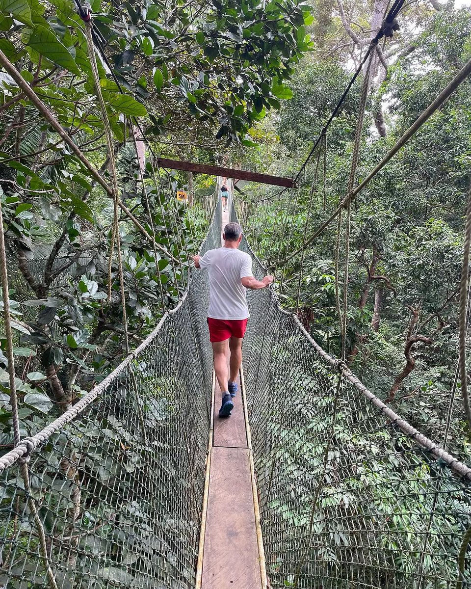 jfalonso tweet media