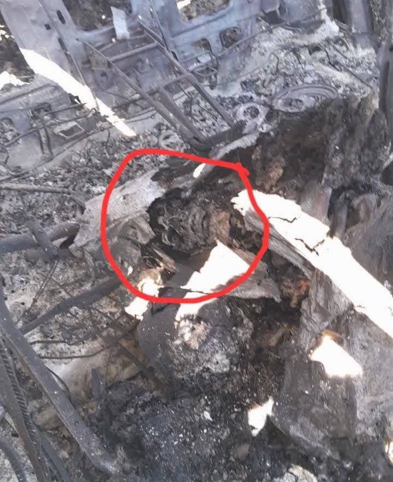 Hatem M Elgammal tweet media