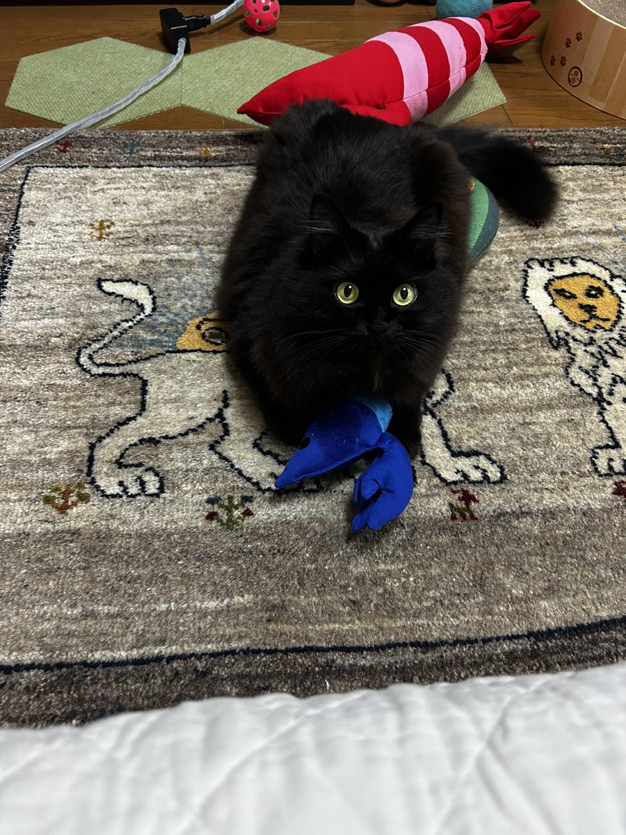 Pinoko@49yo tweet media