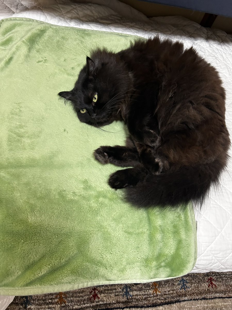 Pinoko@49yo tweet media