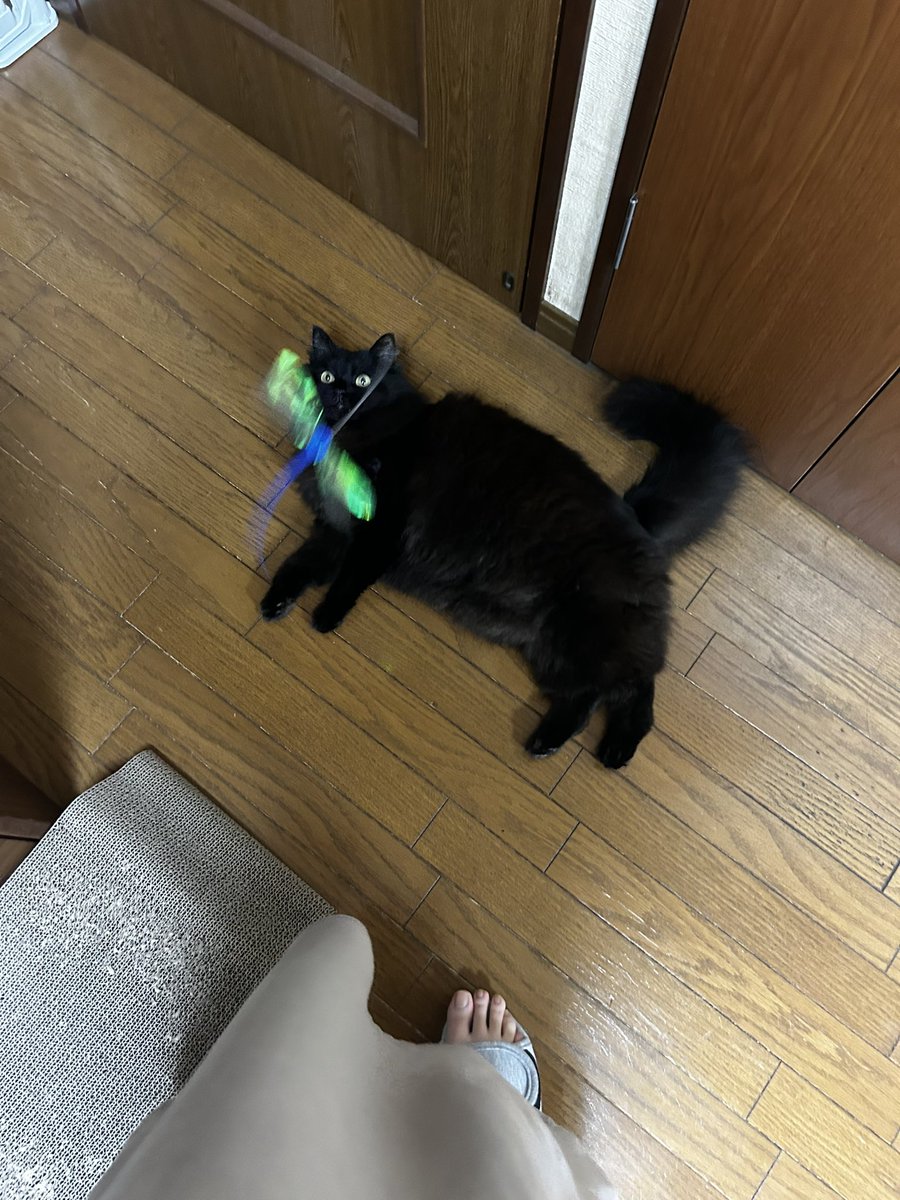 Pinoko@49yo tweet media