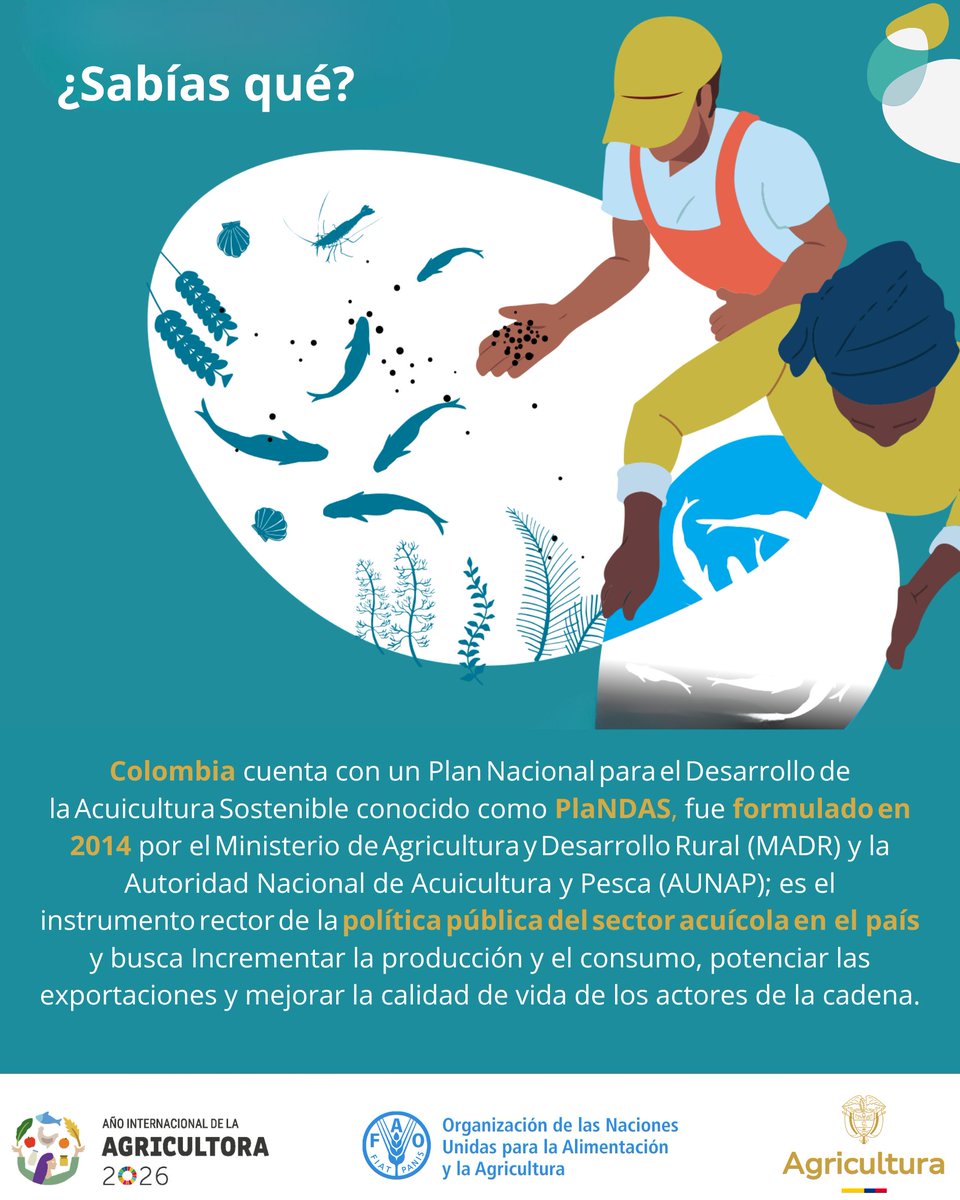 FAO_Colombia's tweet photo. Desde FAO🇨🇴 acompañamos técnicamente a @MinAgricultura en la evaluación y actualización participativa del Plan Nacional para el Desarrollo de la Acuicultura Sostenible (PlaNDAS) reflejando la realidad actual del sector y proyectando una visión estratégica renovada a futuro 🎣 https://t.co/4XgXLJFnFl