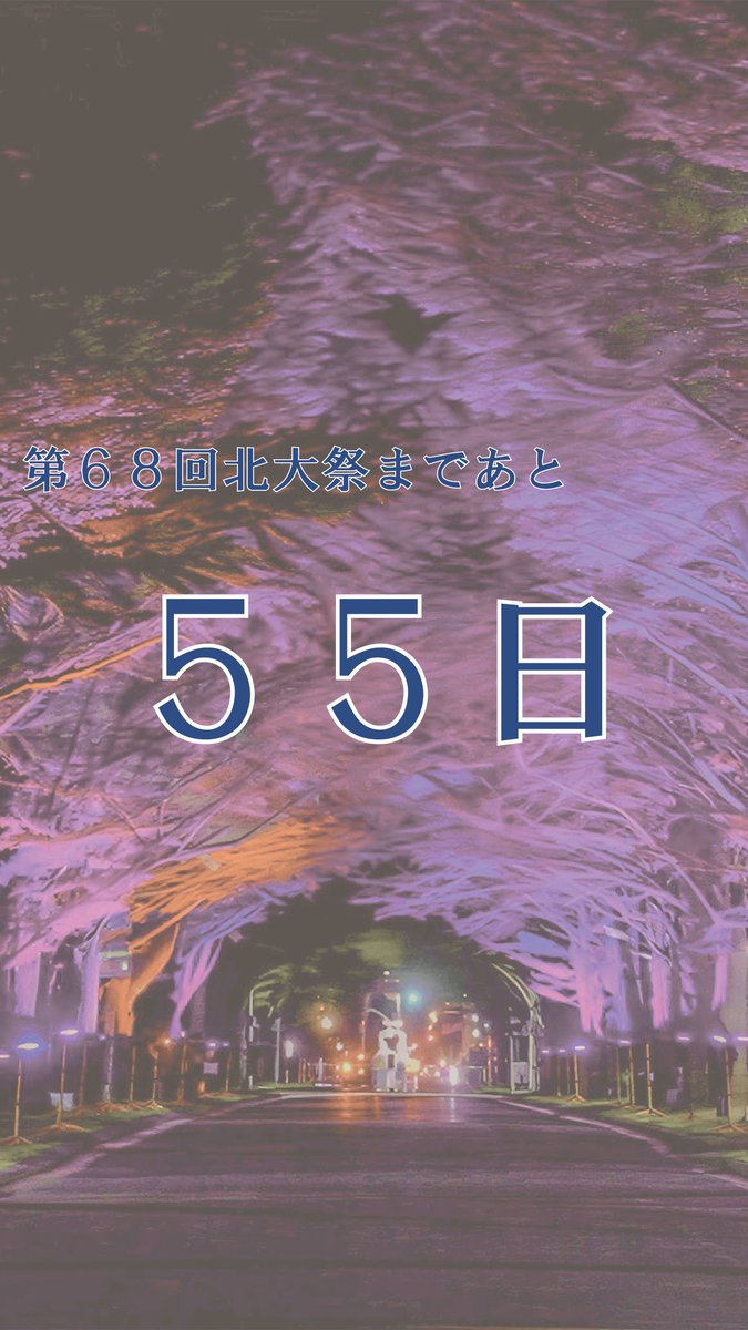 北海道大学　北大祭 tweet media