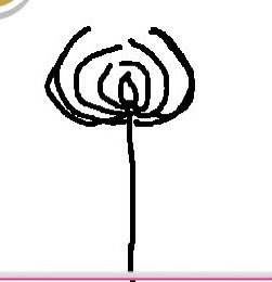 しまちゃん tweet media