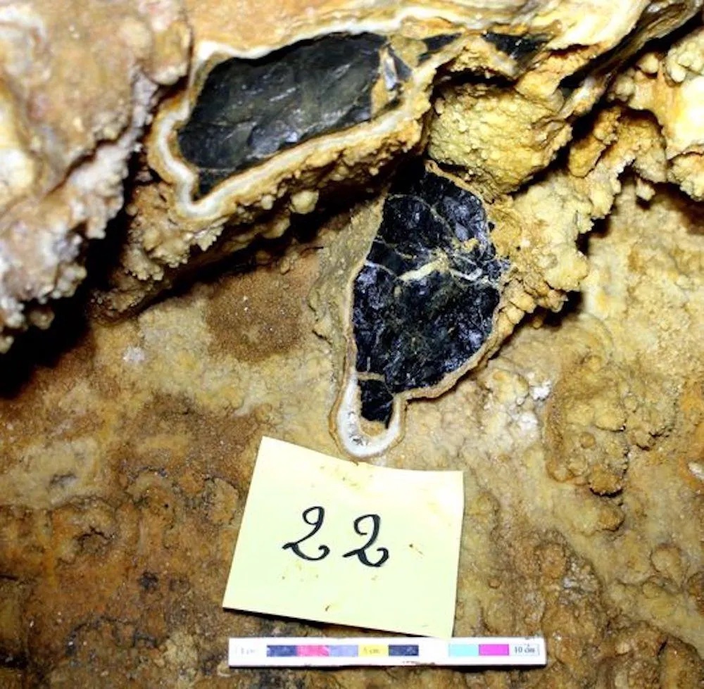 Archéologia tweet media