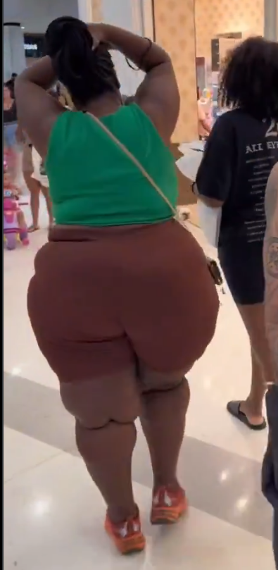 PhoqueTwitch tweet media