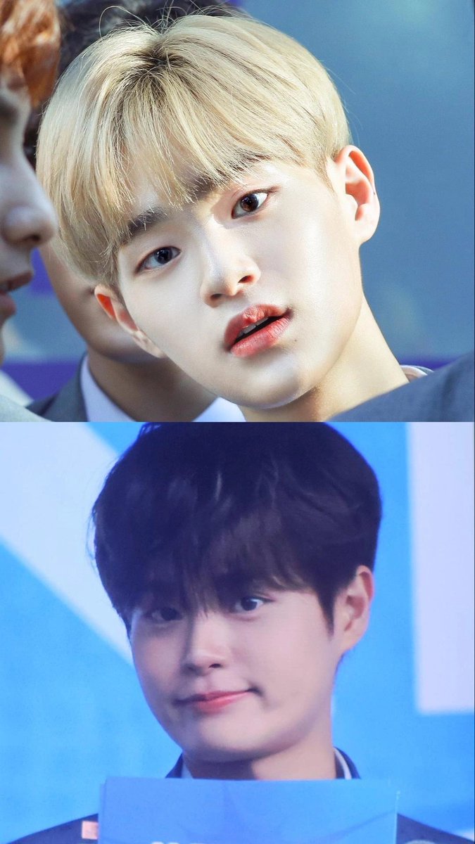 봄바람 tweet media