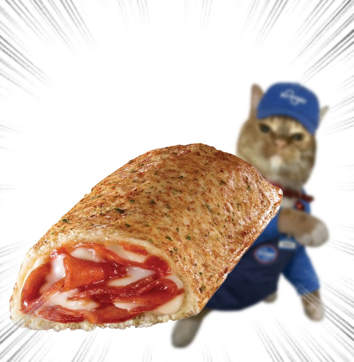 Throwing Things Daily tweet media