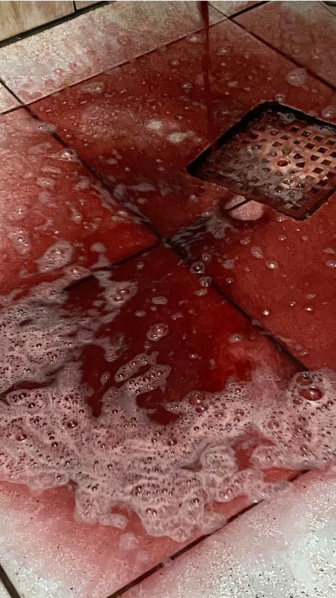 Justin 🎞 tweet media