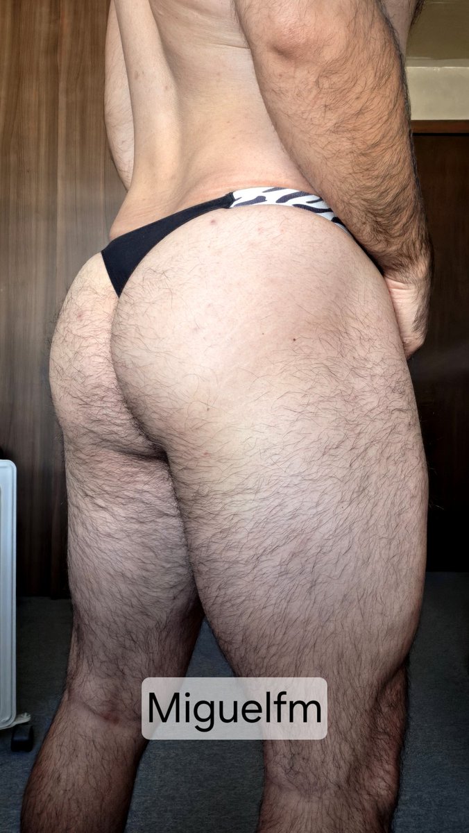 Miguelfm tweet media