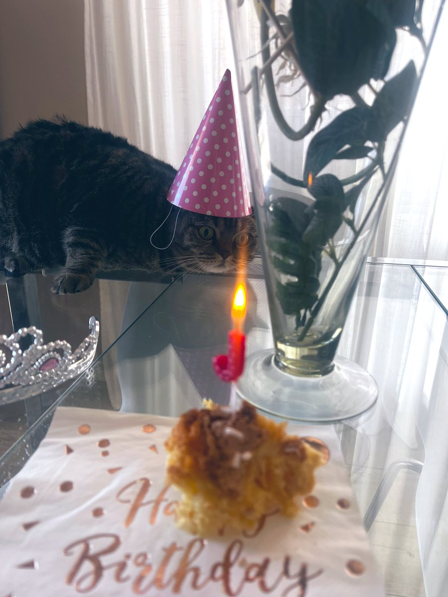 ❤️Atrebor❤️ tweet media