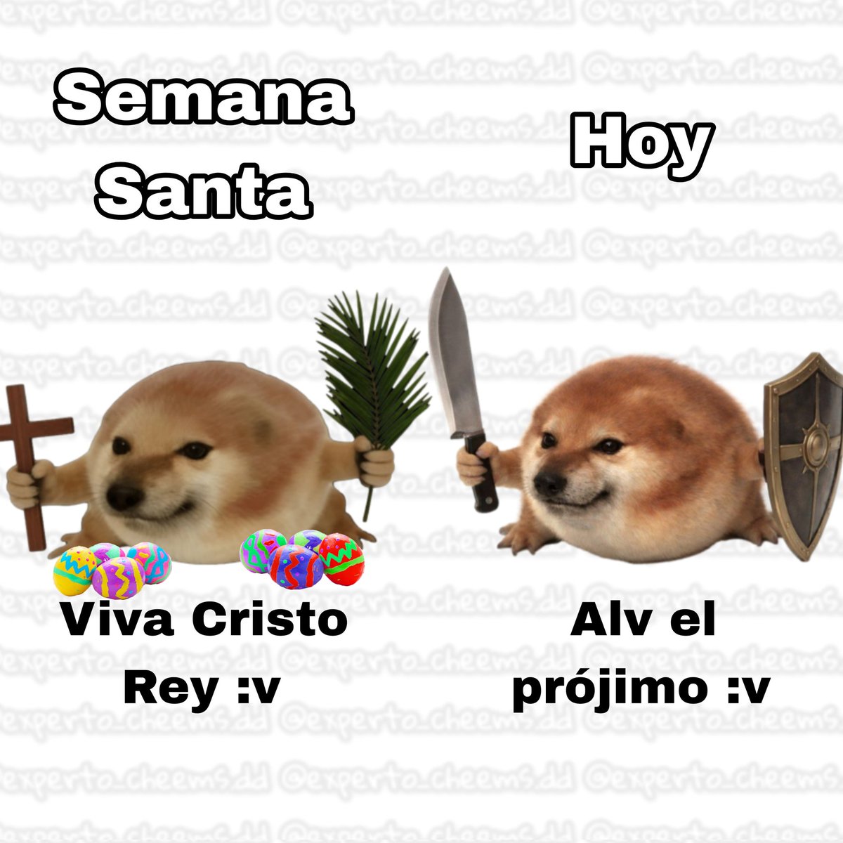 Dandy Daniels - Experto en Cheems :v tweet media