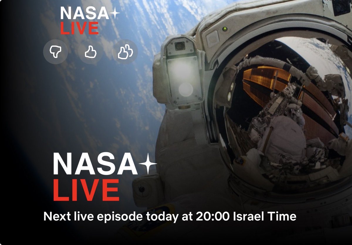 Dashing Pizza 🍕 tweet media