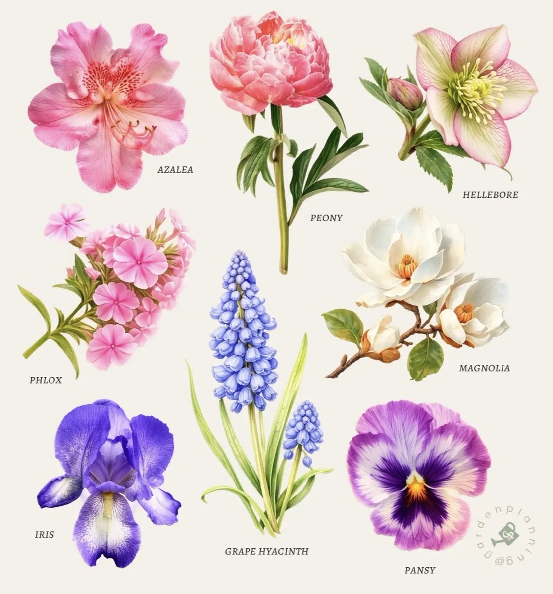 Elle Lookbook tweet media