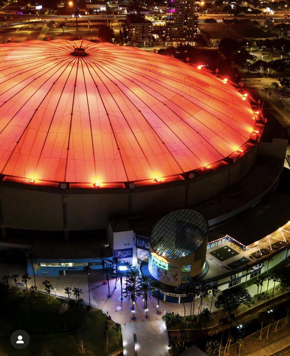 liz 🍬 tweet media