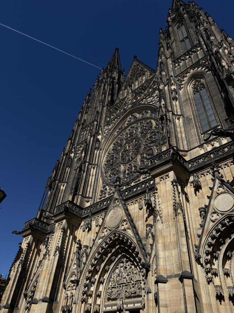 zuza, occasionally tweet media