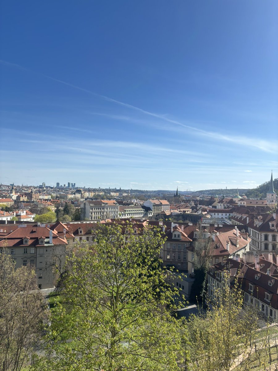 zuza, occasionally tweet media