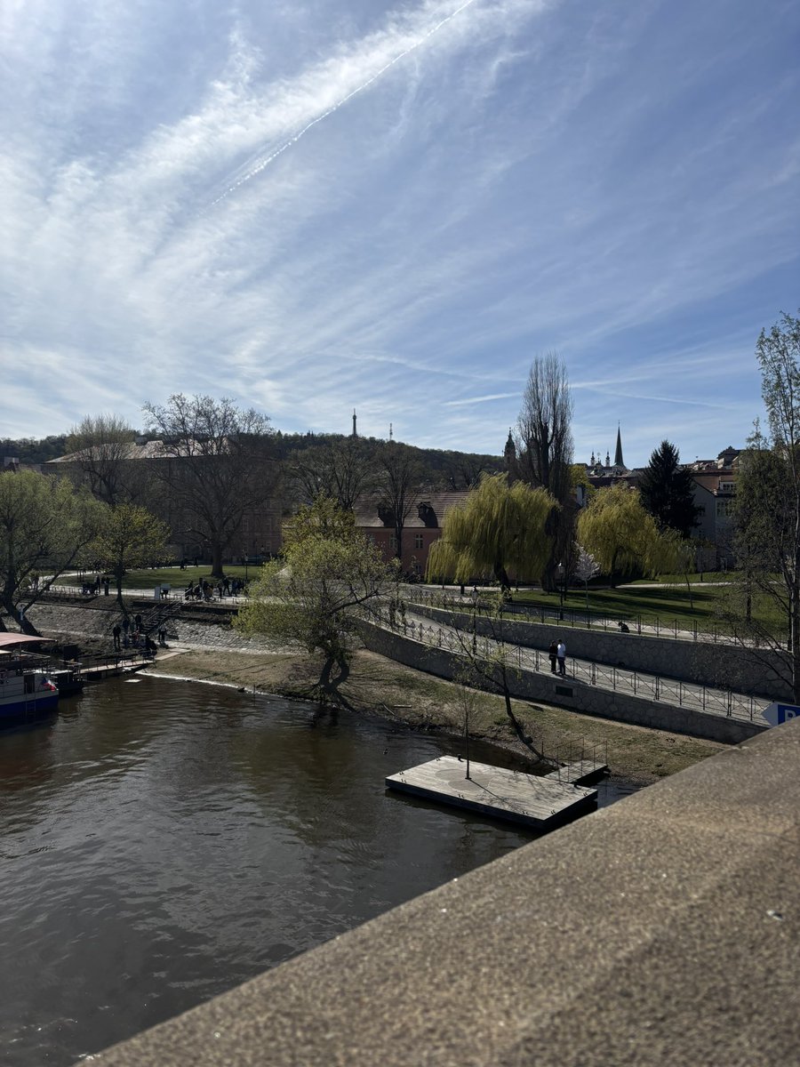 zuza, occasionally tweet media