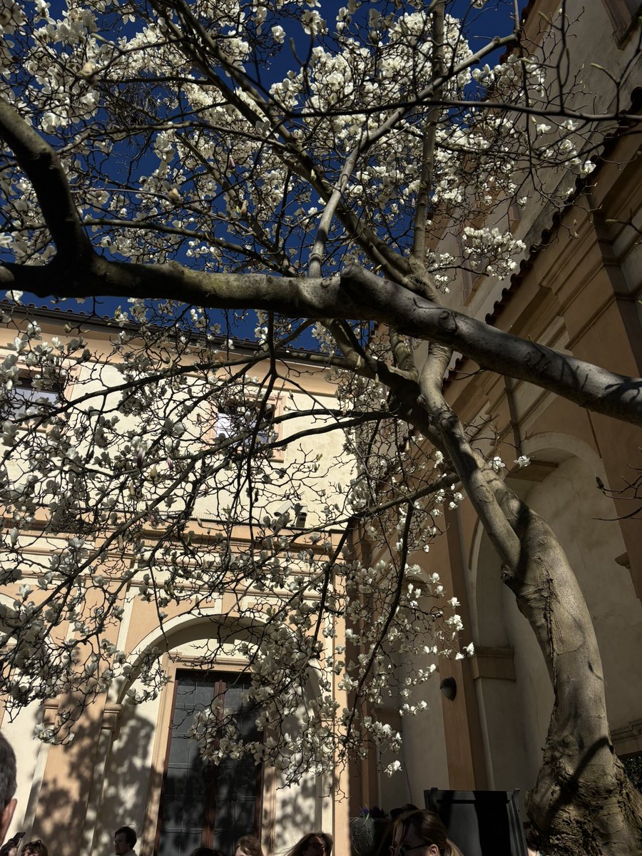 zuza, occasionally tweet media