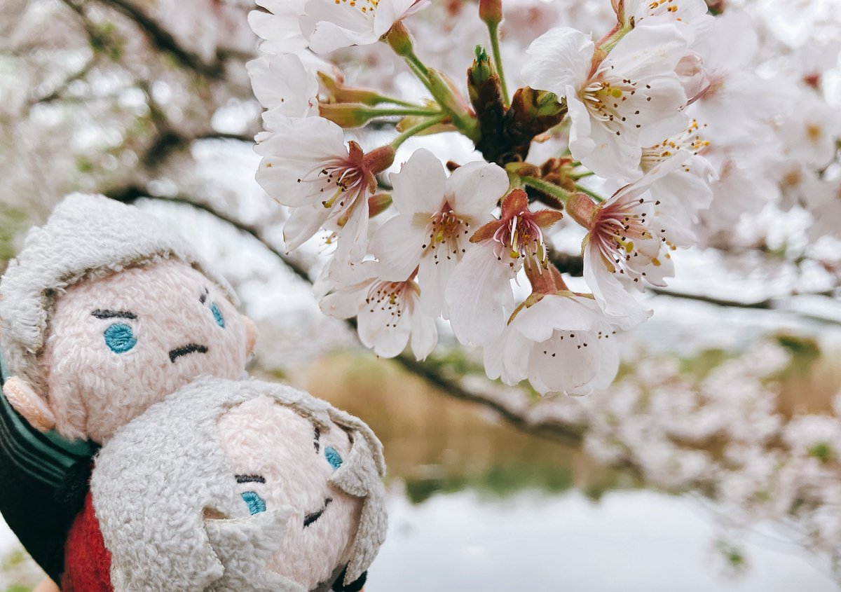 はつねな@新刊通販開始しました tweet media