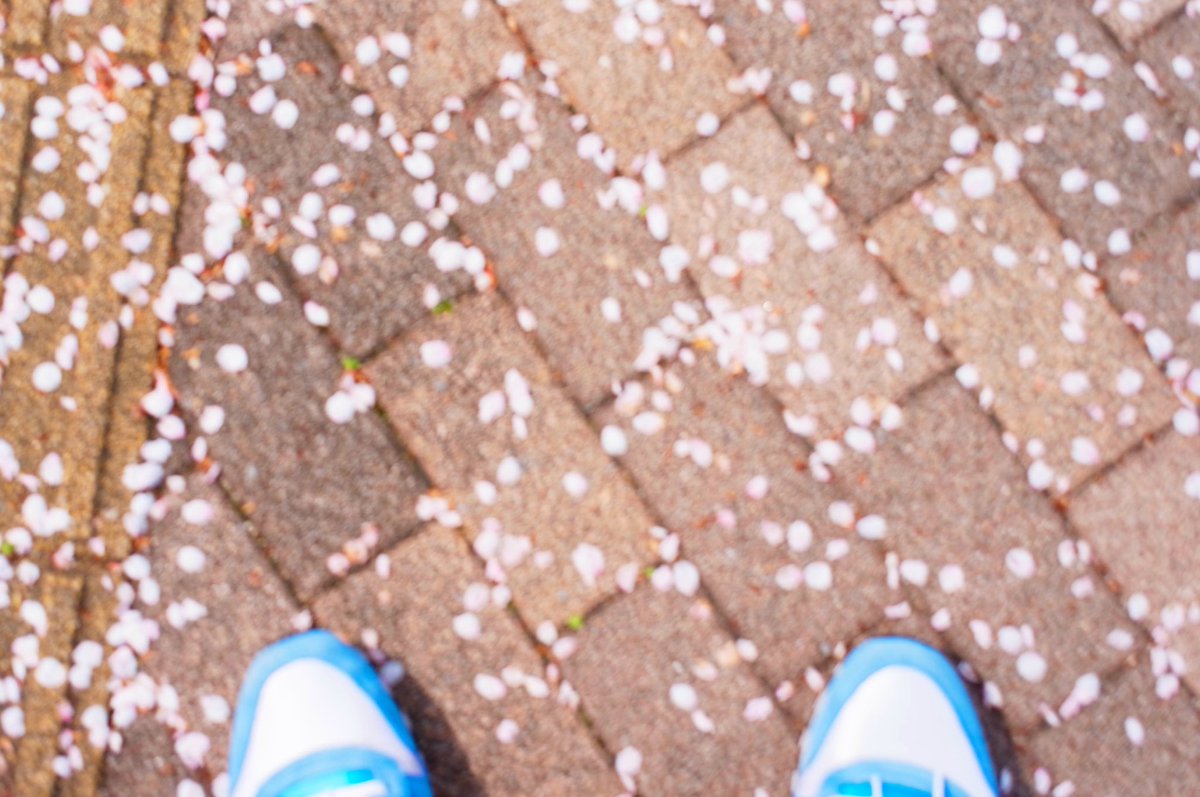 オオムロ tweet media