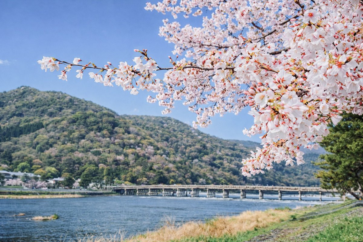 かずさん tweet media