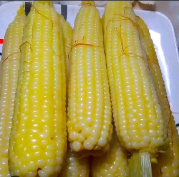 Local Boy tweet media