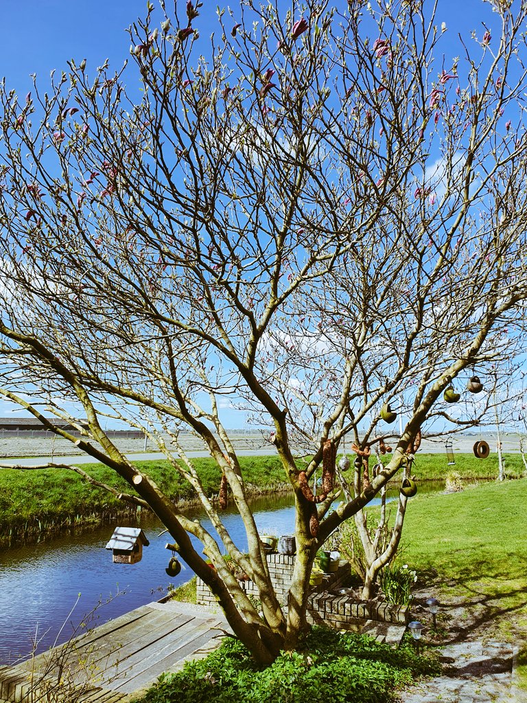 karinrixt's tweet image. Wat heerlijk, al jaren wonen op deze bevoorrechte, prachtige plek. De tuin, de kas, het uitzicht, de schuren, het zalige buitenleven. #FarmLife