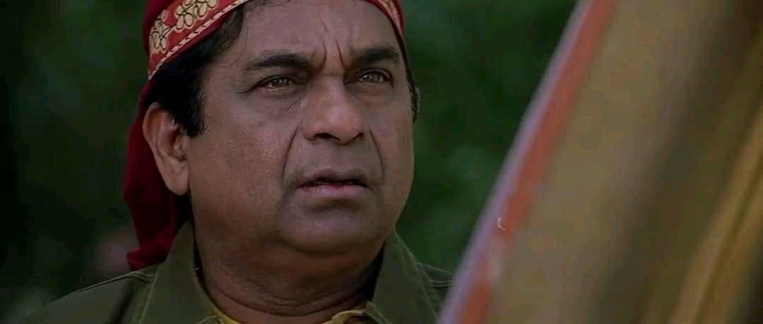 𝗕𝗢𝗚𝗚𝗨ᴿᴱᴮᴱᴸᵂᴼᴼᴰ🦖 tweet media