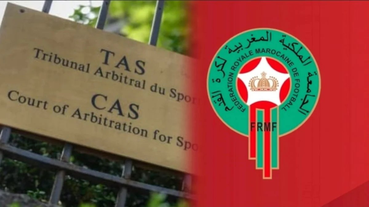 مصطفى العلمي🇲🇦 tweet media