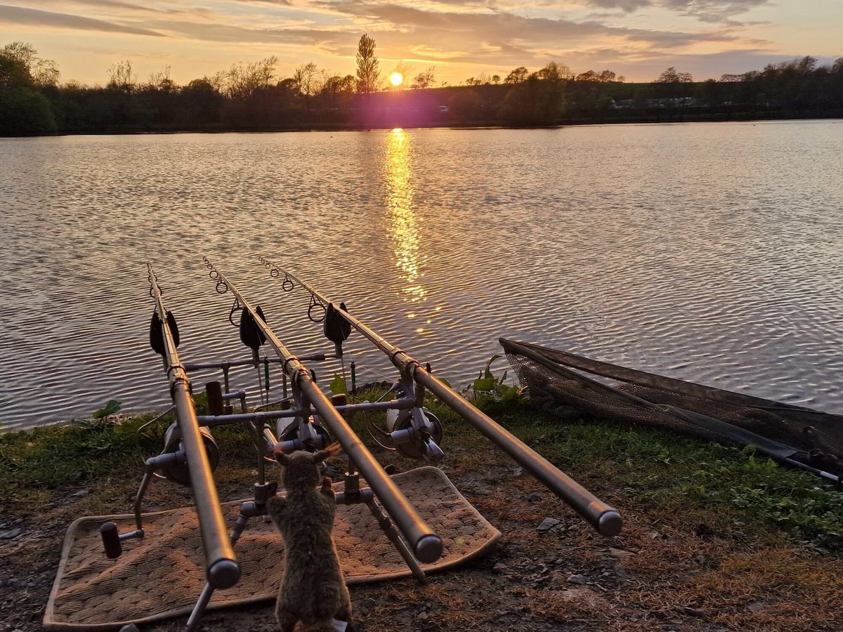 WeAcceptPets's tweet image. Wyreside Lakes Fishery and Campsite is an award-winning destination set within a picturesque countryside, offering a peaceful haven for those looking to escape the pressures of modern life.🌳

Accepts 🐶
weacceptpets.co.uk/Lancashire/8236

#WyresideLakes #Camping #Countryside @wyresidelakes