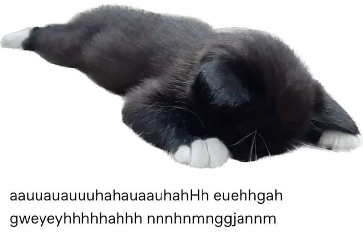 𝐻𝒶𝓃𝒾🪽//mt after dm! tweet media