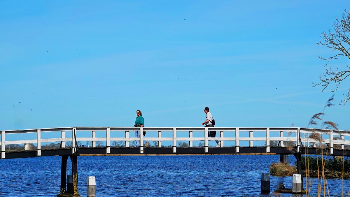 Ton Wesselius tweet media