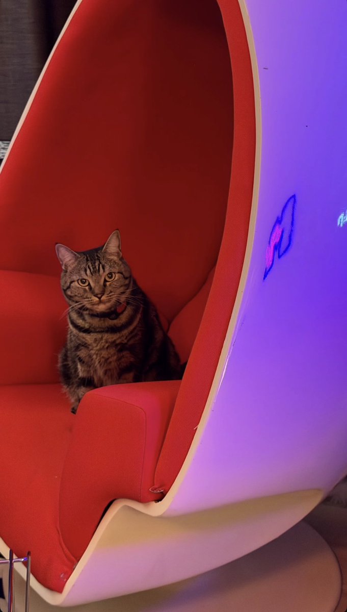 BUILD VN FC 🇻🇳 tweet media